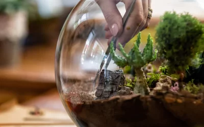 How to Create an Indoor Bottle Garden