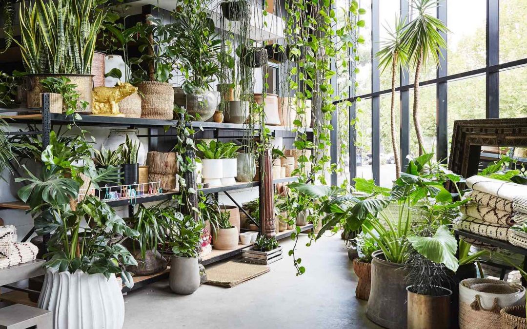 The Future of Gardening: Why Indoor Gardens are the Way Forward