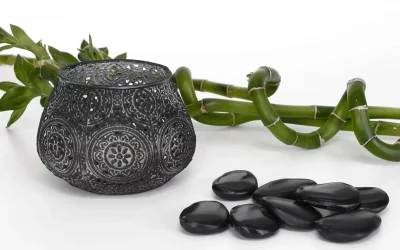 How To Care For Lucky Bamboo