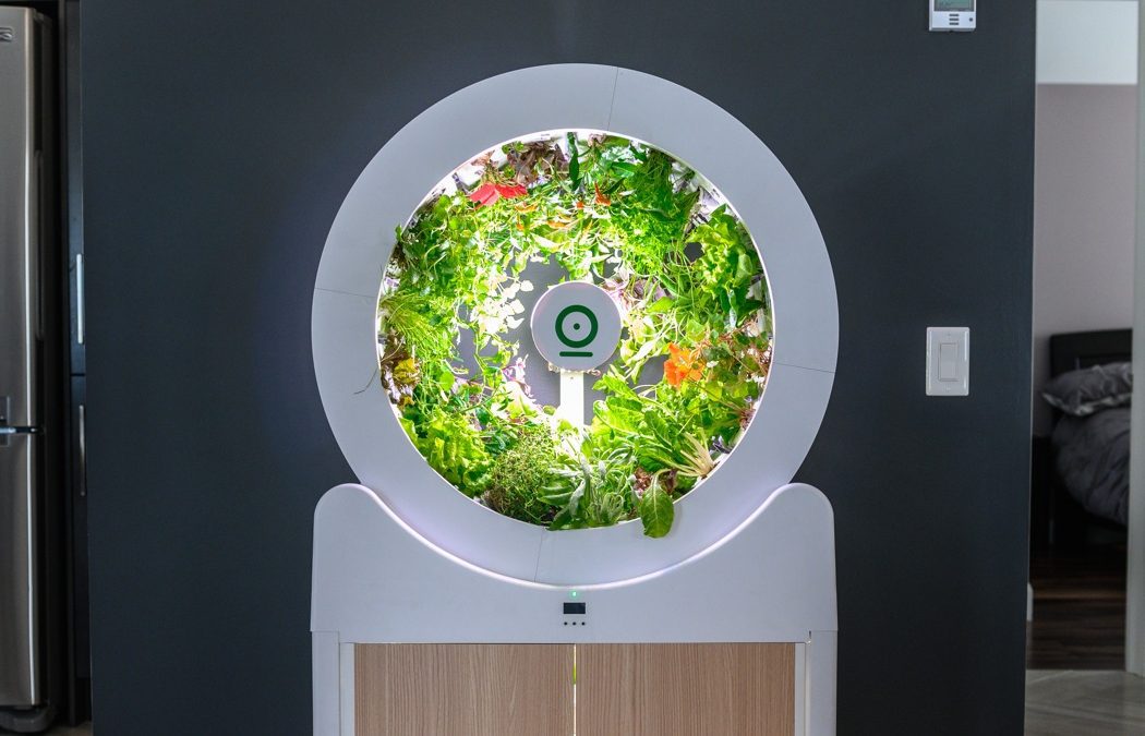 Best Indoor Smart Garden