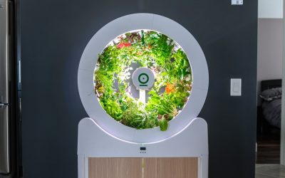 Best Indoor Smart Garden