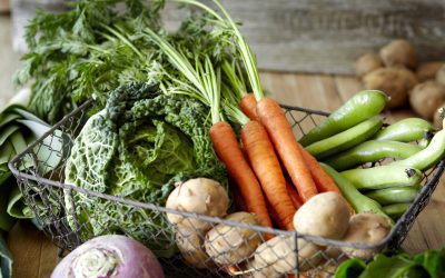 Best Vegetables For Indoor Gardening