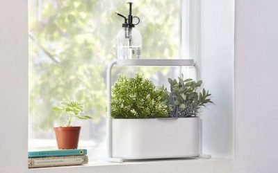 Best Indoor Herb Garden Kits: Top 15