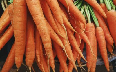 How to Grow Carrots: A Comprehensive Guide for Gardeners