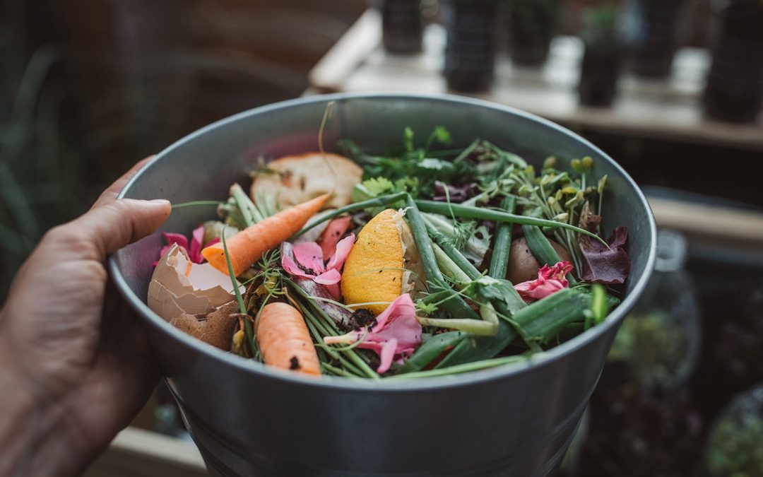 Hand adding kitchen scraps to a home compost bin beside healthy plants.