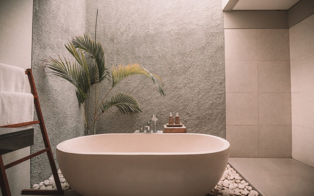 Best Plants for Your Bathroom