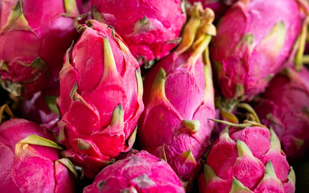 How to Grow Dragon Fruit: A Detailed Step-by-Step Guide