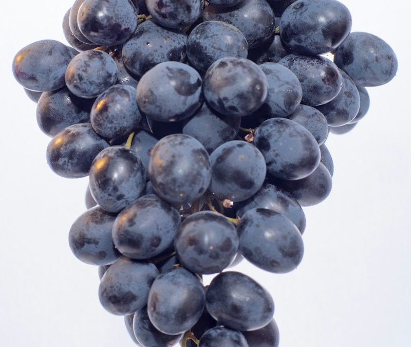 How to Grow Grapes: A Detailed Guide for Gardeners