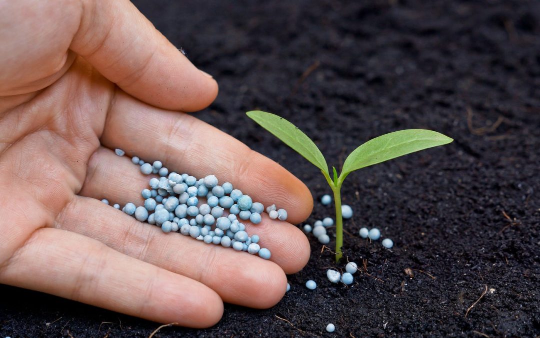 Controlled-Release Fertilizers: Enhancing Efficiency and Sustainability in Agriculture