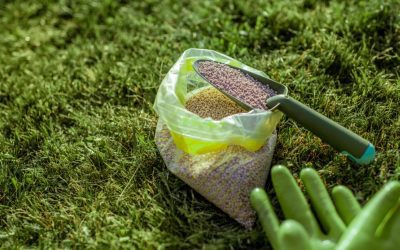 Balanced Fertilizers: Maximizing Growth and Health in Your Garden