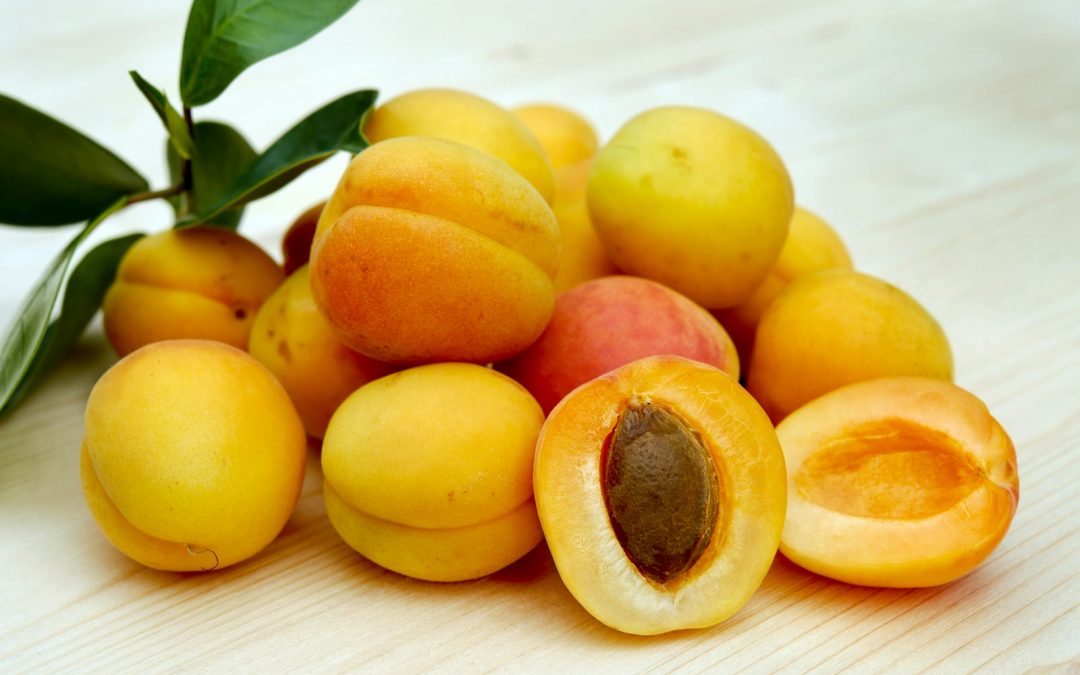 A Comprehensive Guide to Growing Your Own Apricots