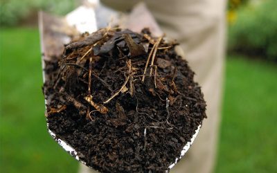 Sustainable Composting Techniques: A Comprehensive How-To Guide