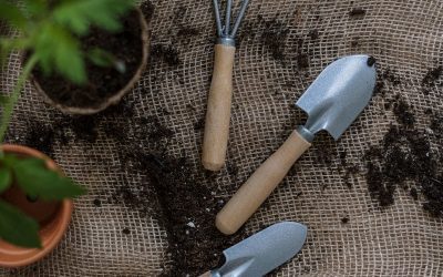Essential Tools for Urban Indoor Gardeners