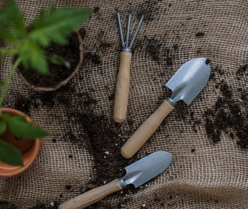 Essential Tools for Urban Indoor Gardeners