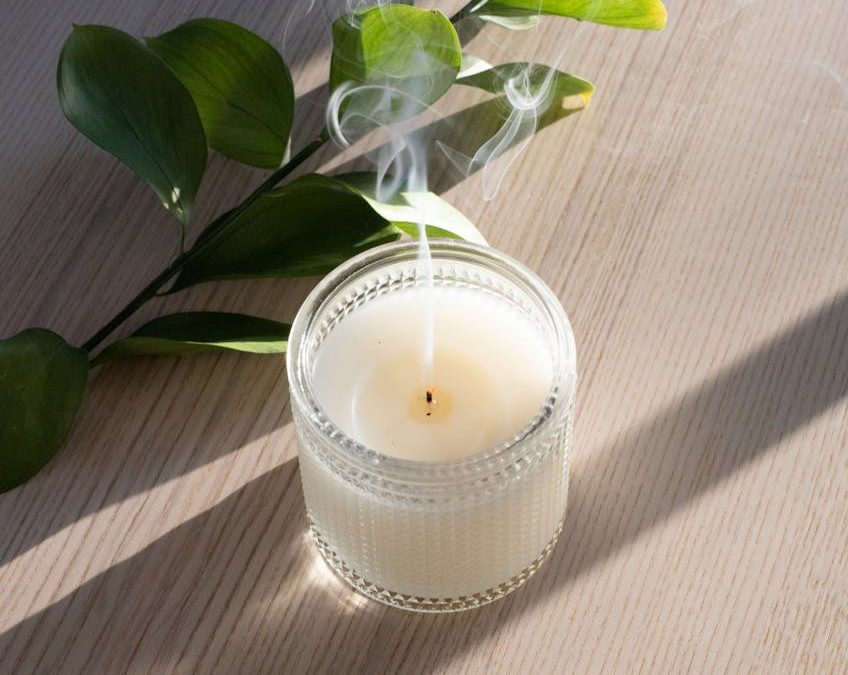 Indoor Plants for Air Purification