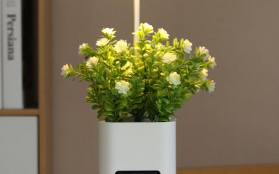 The Role of Artificial Lighting in Indoor Gardens