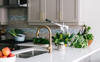 Creating and Caring for a Miniature Herb Garden in Your Kitchen
