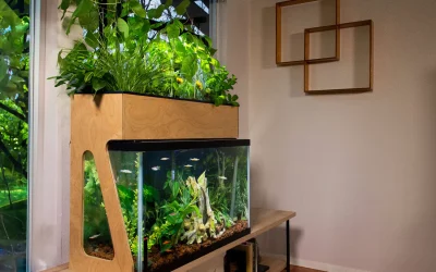Aquaponic Gardening Indoors: Beginner-Friendly Guide