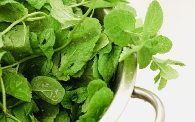 Healing Herbs: Growing and Using Medicinal Herbs at Home