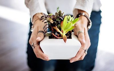 Self-Watering Pots Guide: Keep Your Plants Thriving Easily