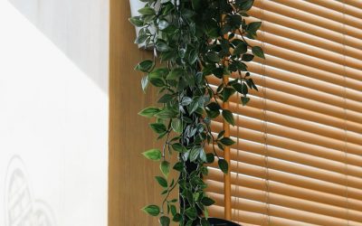 How to Create an Amazing Indoor Vertical Plant Wall