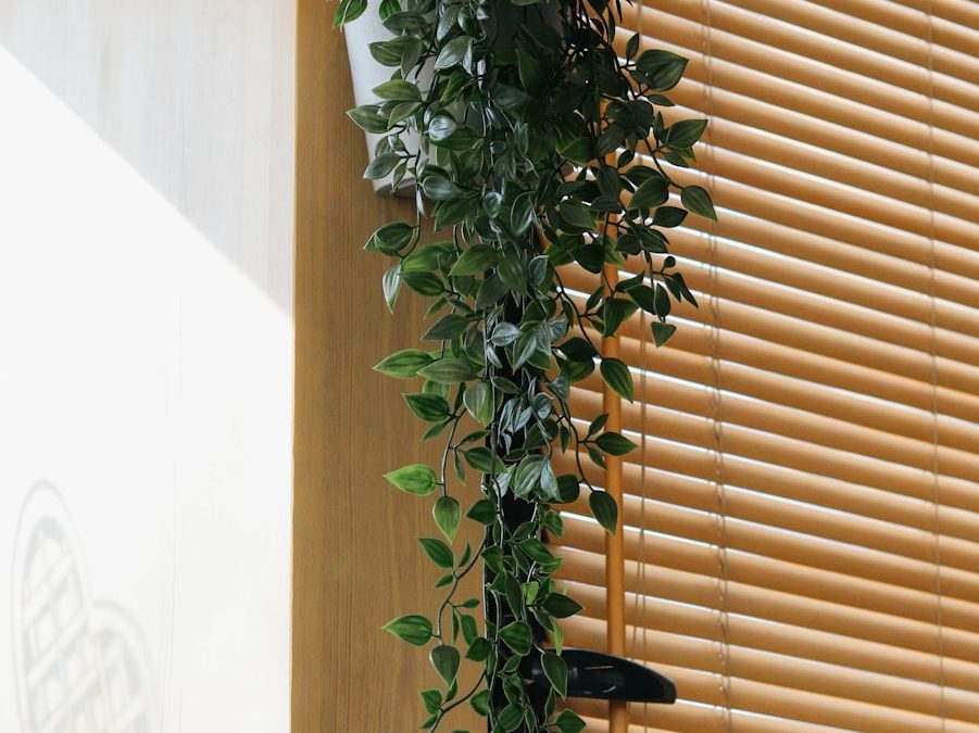 How to Create an Amazing Indoor Vertical Plant Wall