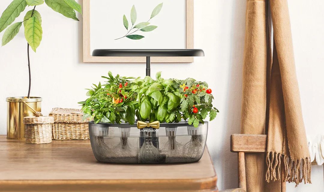 Effortless Indoor Gardening with Smart Automation Tools