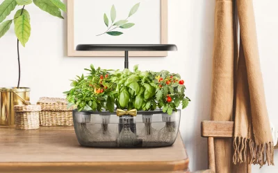 Effortless Indoor Gardening with Smart Automation Tools