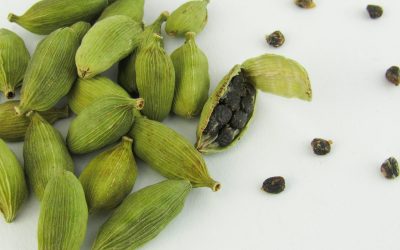 How to Grow Indoor Cardamom: Exotic Spice at Home