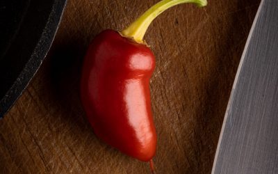 Indoor Chili Peppers: Spice Up Your Cooking with Homegrown Heat