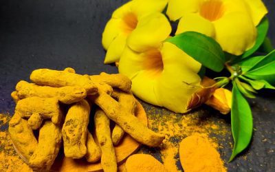 How to Grow Indoor Turmeric: Golden Roots for Health and Flavor