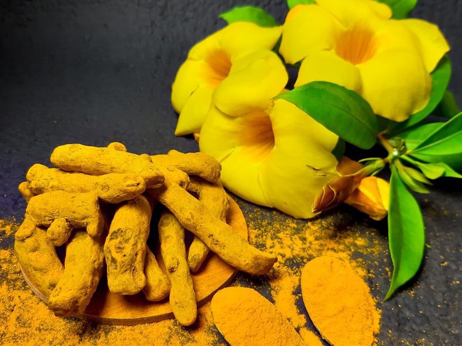 Indoor turmeric plant with yellow leaves, showing fresh turmeric roots for home gardening.