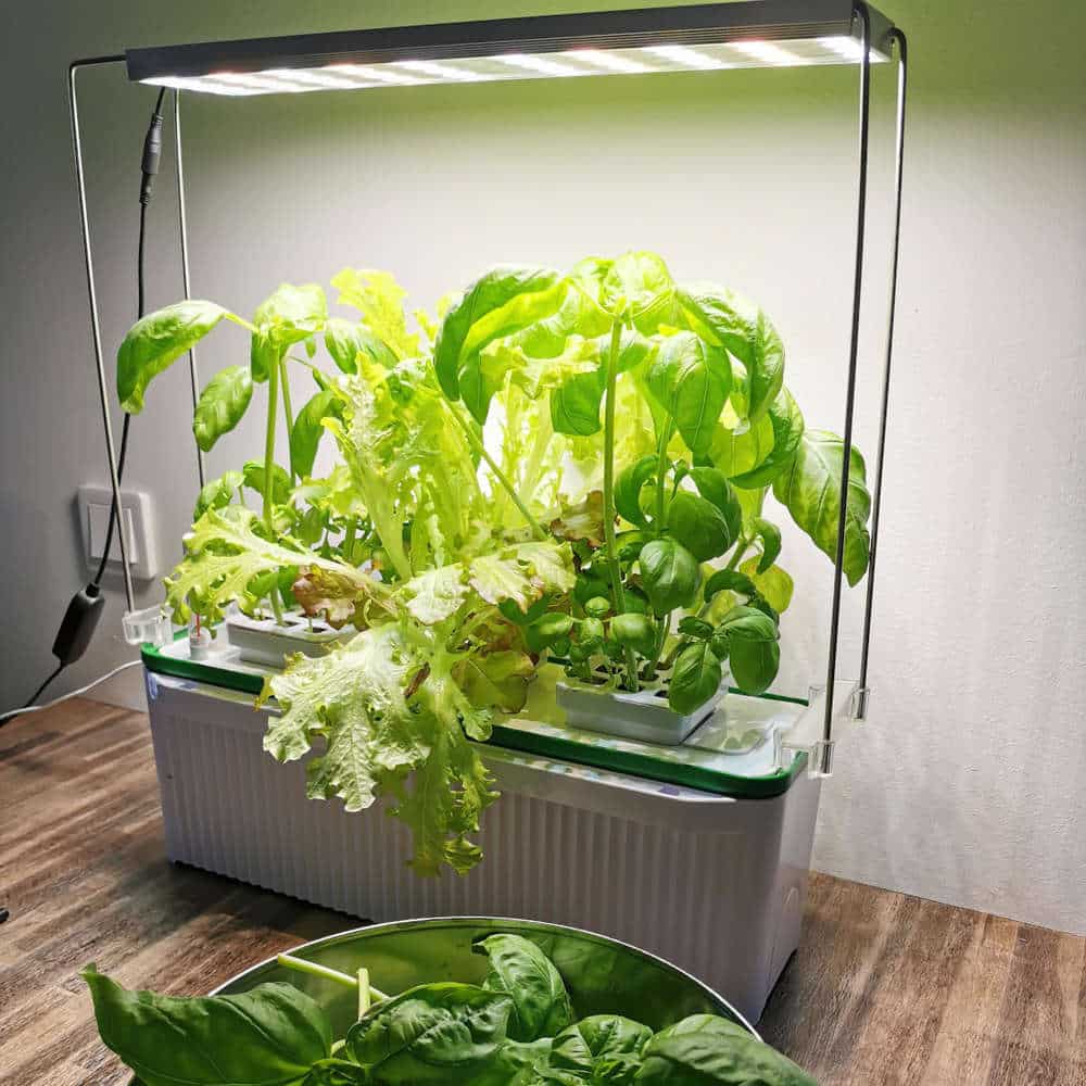 Smart Growing Smart Indoor Garden | Is It Worth It?