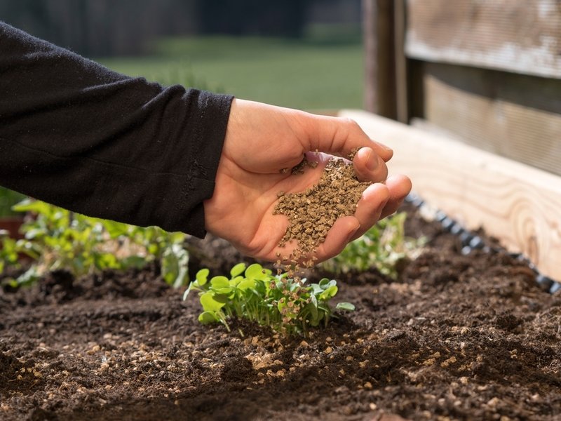 Hand pouring liquid fertilizer into indoor plant pot on a sunny windowsill.