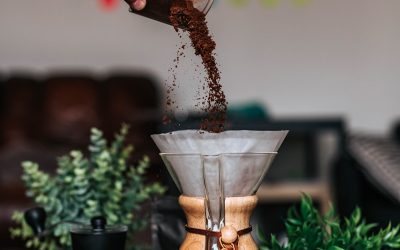 How to Use Coffee Grounds for Indoor Plants (Boost Growth Naturally)