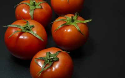 How to Grow Indoor Tomatoes Without a Greenhouse (Beginner’s Guide)