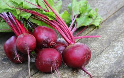 How to Grow Beetroots Indoors for Tender Leaves and Small Sweet Roots