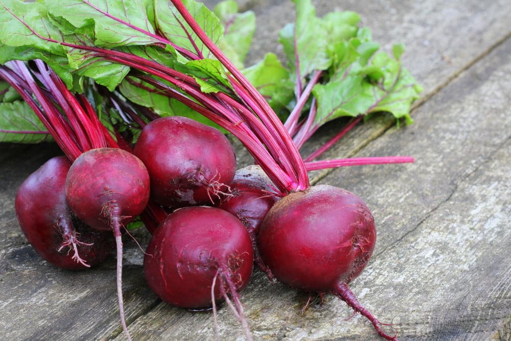 How to Grow Beetroots Indoors for Tender Leaves and Small Sweet Roots