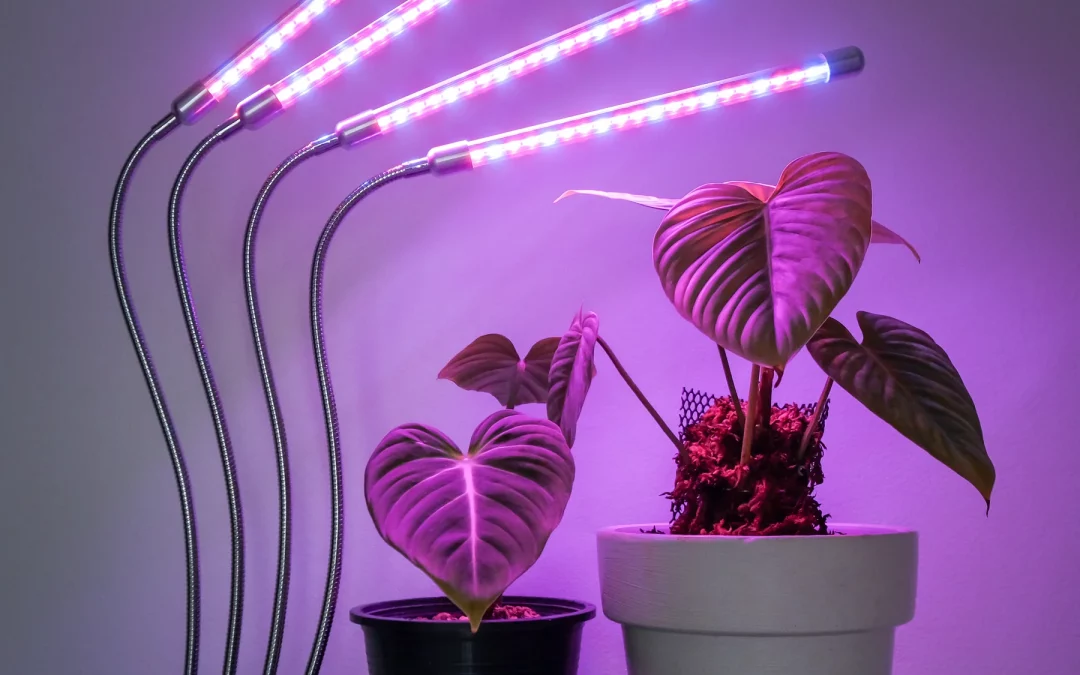 Indoor Plant Grow Light Buyer’s Guide (Beginner-Friendly)