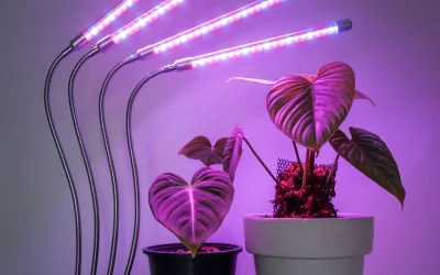 Indoor Plant Grow Light Buyer’s Guide (Beginner-Friendly)