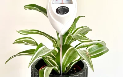 How to Use Moisture Meters for Indoor Plants (Beginner’s Guide)