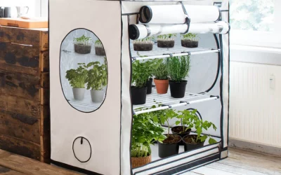 Best Grow Tents for Indoor Plants (Beginner Buyer’s Guide)