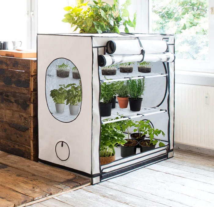 Best Grow Tents for Indoor Plants (Beginner Buyer’s Guide)