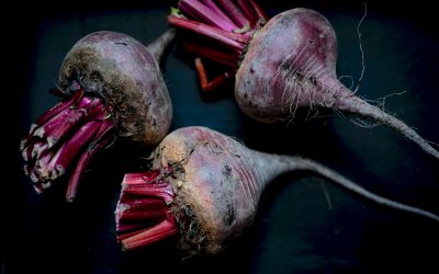 How to Grow Beetroots Indoors (Beginner-Friendly Guide for Fresh Roots & Greens)