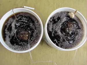 brewing compost tea with aerator