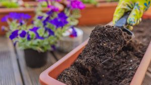 sustainable peat-free compost for eco garden