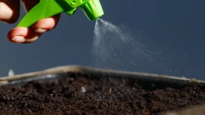 organic pest control in eco-friendly garden