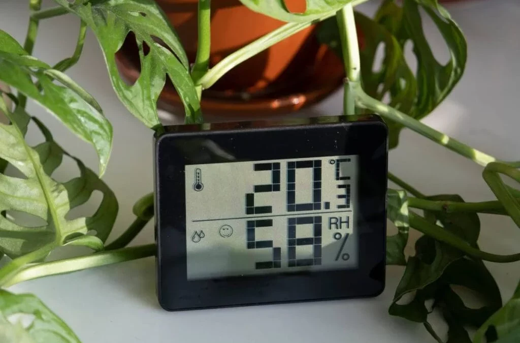 The Best Temperature Range for Indoor Plants (Stay Healthy All Year)