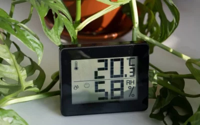 The Best Temperature Range for Indoor Plants (Stay Healthy All Year)