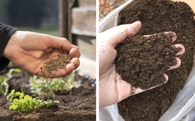 Organic vs Synthetic Fertilizers (What’s Best for Indoor Plants?)